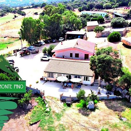 Agriturismo Monte Pino Telti Dış mekan fotoğraf