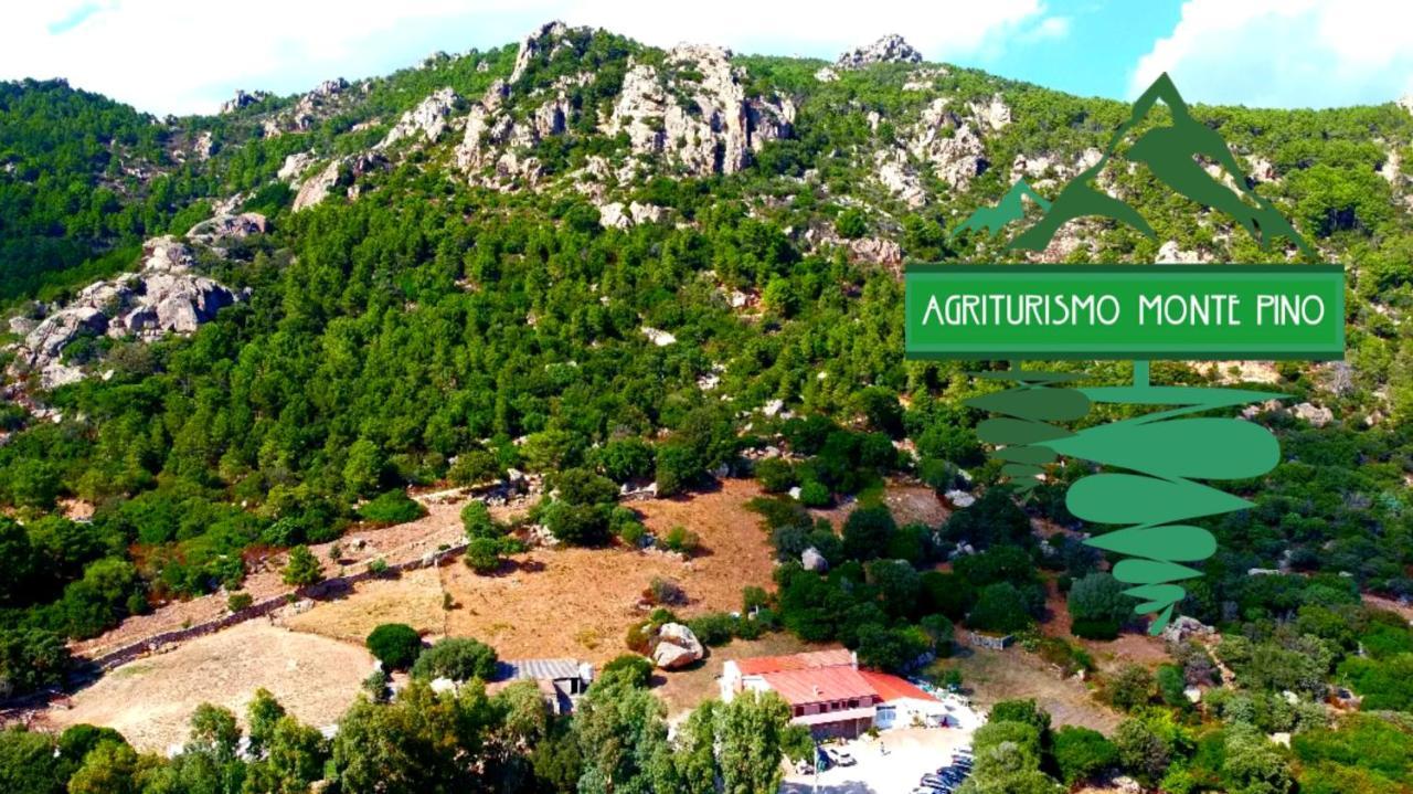 Agriturismo Monte Pino Telti Dış mekan fotoğraf