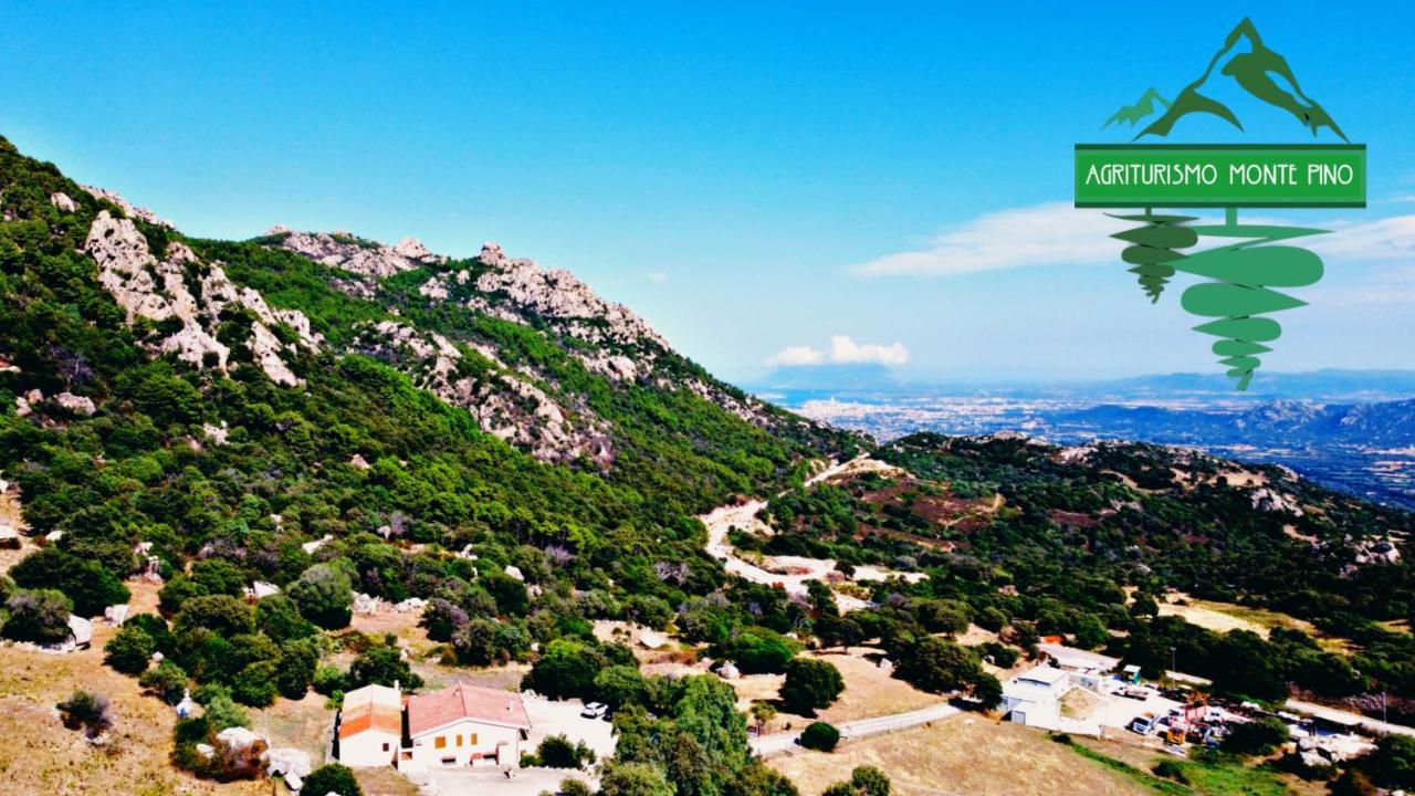 Agriturismo Monte Pino Telti Dış mekan fotoğraf