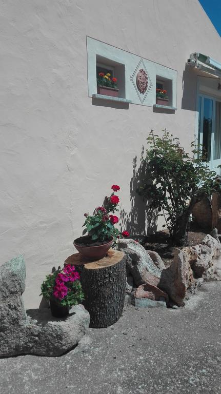 Agriturismo Monte Pino Telti Dış mekan fotoğraf
