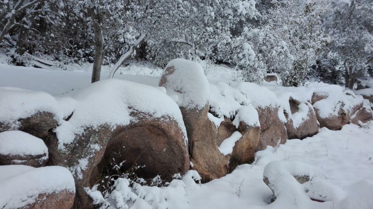 Agriturismo Monte Pino Telti Dış mekan fotoğraf