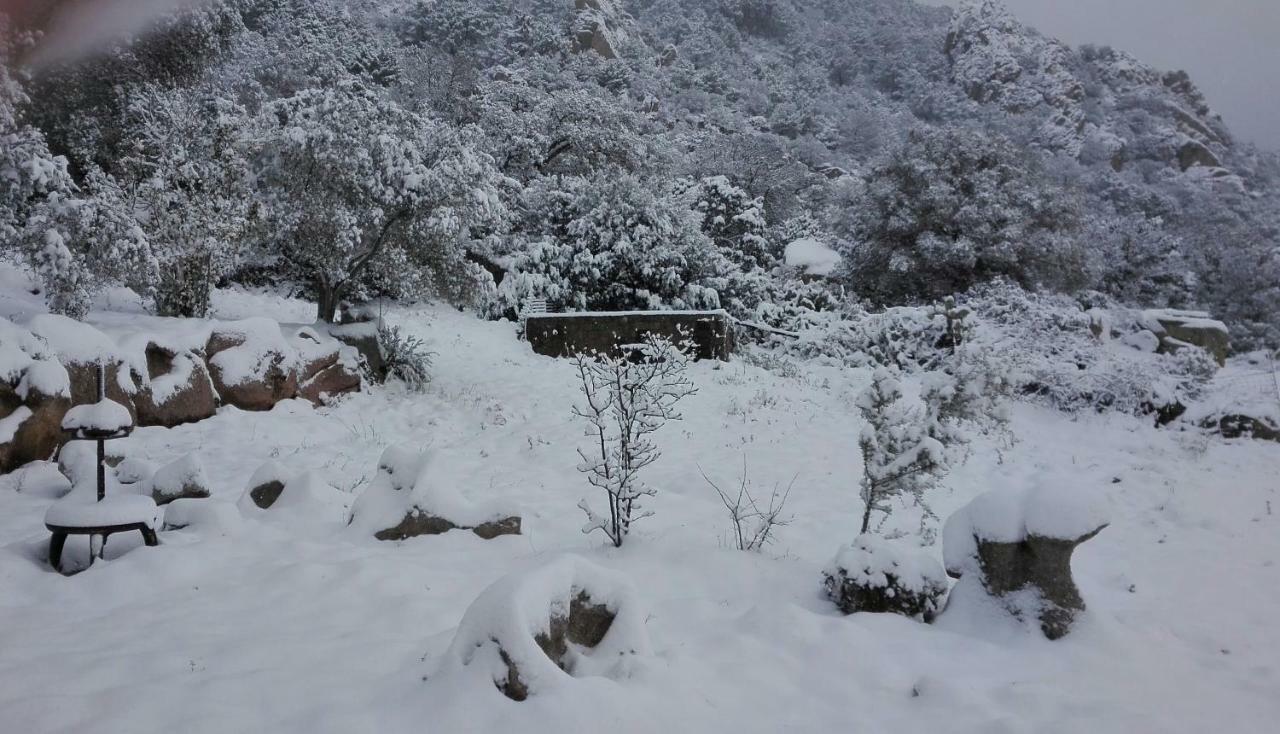 Agriturismo Monte Pino Telti Dış mekan fotoğraf