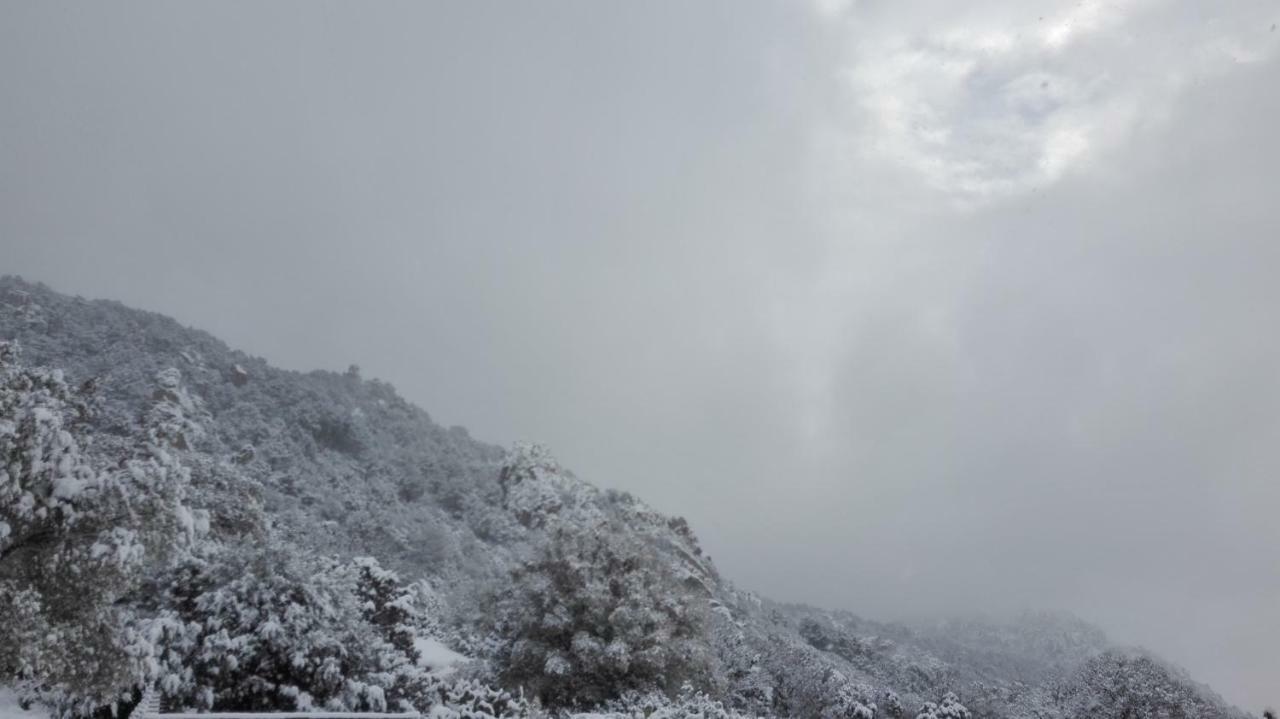 Agriturismo Monte Pino Telti Dış mekan fotoğraf