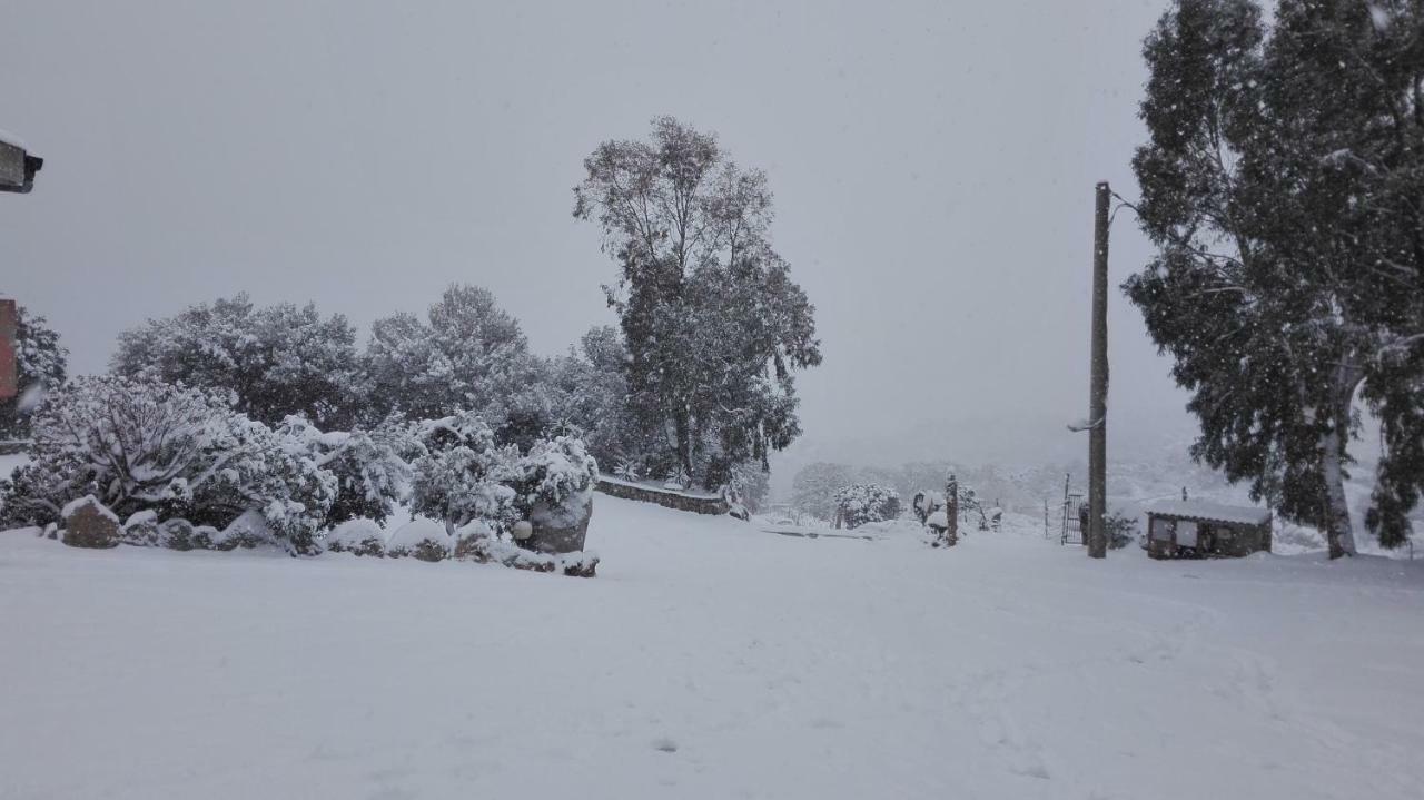 Agriturismo Monte Pino Telti Dış mekan fotoğraf