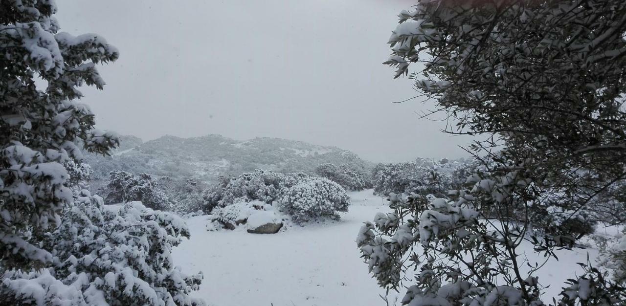 Agriturismo Monte Pino Telti Dış mekan fotoğraf