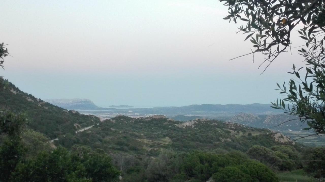 Agriturismo Monte Pino Telti Dış mekan fotoğraf